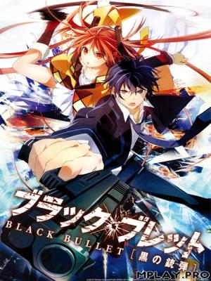 Black Bullet 